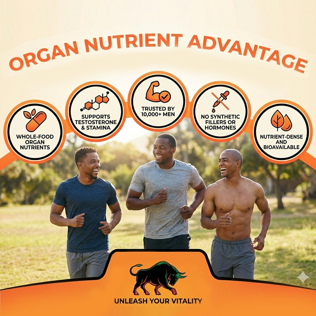 Vita Verve – Reclaim Your Strength and Feel Powerful Again